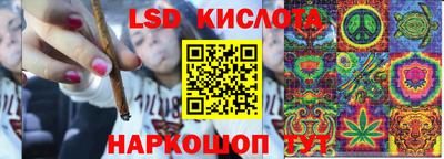 ECSTASY Будённовск