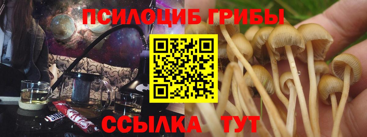 Псилоцибиновые грибы ЛСД Старая Купавна
